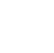 Collective Power Circle Logo in White without starburst